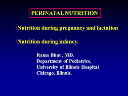 Nutrition During Pregnancy And Lactation Nutrition During