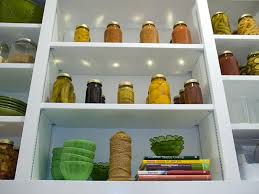 pantry shelving pictures options