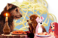 can-dogs-eat-meatballs-and-spaghetti