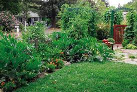 Edible Garden Landscape Design Ideas