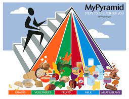 Updated Food Pyramid/My Plate - WordPress.com gambar png
