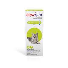 Bravecto Topical Solution For Cats 2 6 6 2 Lbs 1 Dose 12 Weeks