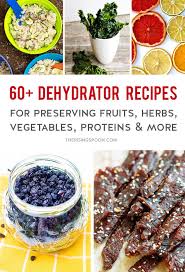 Dehydrator Recipes For Preserving Food