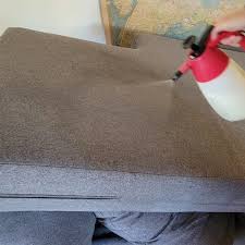 top 10 best couch cleaning in san go