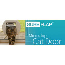Sureflap Microchip Cat Door Glass