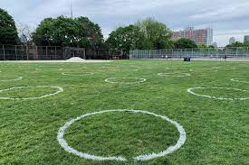 To avoid unsafe crowding at toronto's trinity bellwoods park as the weather heats up, the city has spray painted circles on the park's east. Here S What The Social Distancing Circles At Trinity Bellwoods Park Look Like