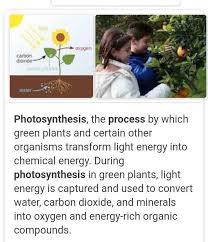 what is photosynthesis briefly explain