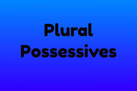 plural possessives why you put an