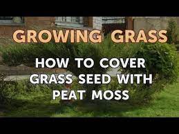 how to cover gr seed with peat moss