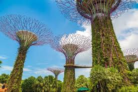 singapore june 2019 supertree grove