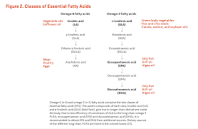 Essential Fatty Acids | Linus Pauling Institute | Oregon State University