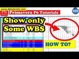 How To Show Only Some Wbs In The Gantt Chart In Primavera P6