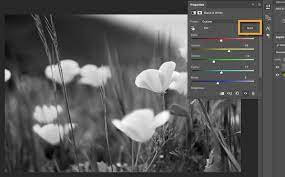 combine black and white with color in a