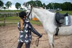 do-horses-recognize-their-owners