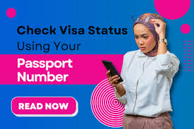 how to check your visa status using