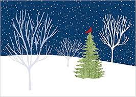 Dhgate.com provide a large selection of promotional christmas cards boxed on sale at cheap price and excellent crafts. Midnight Cardinal Deluxed Boxed Holiday Cards Christmas Cards Holiday Cards Greeting Cards Peter Pauper Press 9781593597894 Amazon Com Books
