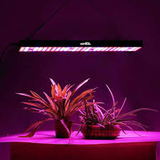 Jcbritw Led Grow Light For Indoor Plants Full