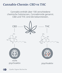 It is one of 113 identified cannabinoids in cannabis plants, along with tetrahydrocannabinol (thc). Berauschend Unberauschend Der Hype Um Cbd Produkte Wirtschaft Dw 29 07 2020