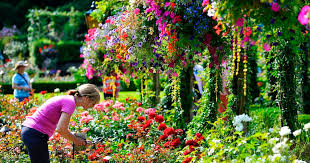 victoria and butchart gardens day tour
