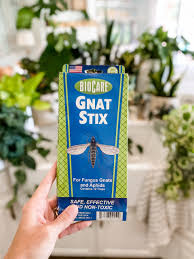 how to get rid of gnats on houseplants