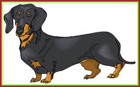 Pa images/pa images via getty images) dogs who were bred to hunt, such as terriers. Dachshund Clipart Wiener Dog Dachshund Wiener Dog Transparent Free For Download On Webstockreview 2021
