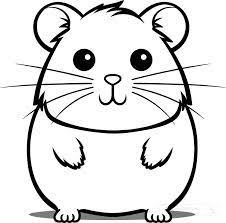 outline clipart cute hamster
