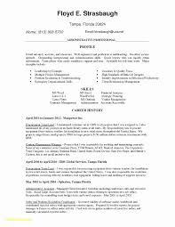 Sample Resume Auditor Accountant Valid Engagement Letter Template