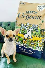 9 sustainable dog food brands making