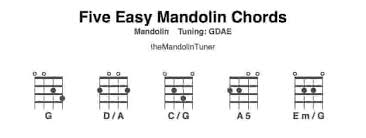 Easy Mandolin Chords And How To Play Them Themandolintuner