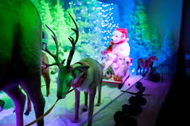 the christmas grotto experience funfinder