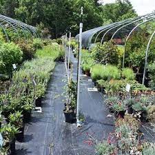Mountain View Nursery Landscaping
