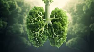 importance of nutrition in lung cancer