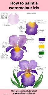 Paint A Watercolour Iris Flower