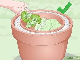 how to keep food cold 15 steps with