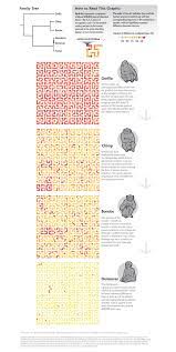 tiny genetic differences between humans