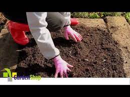 how to prepare soil for planting you