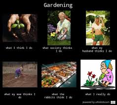 gardening memes