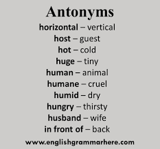 english antonym opposite words list