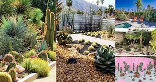 35 Inexpensive Desert Landscaping Ideas