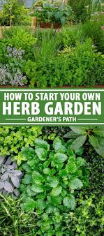 How To Start Your Own Herb Garden
