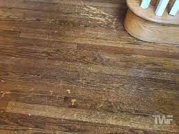 how to clean your hardwood floors