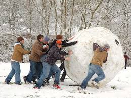 Image result for snowball images