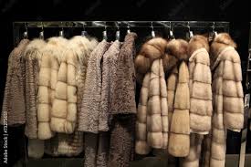 Various Fur Coats Stock Photo Adobe Stock