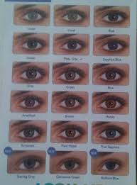 freshlook disposable color contact