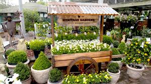 garden centres in rutherford nsw