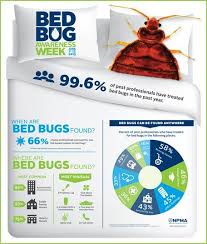 survey finds bed bug infestations spike