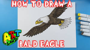 how to draw a bald eagle you