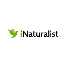 Neophyten in Deutschland · iNaturalist
