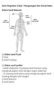 Sesuai dengan judul artikelnya, dalam soal sistem saraf manusia ini, jenis soal yang akan kami bagikan yaitu soal pilihan ganda / pilgan (multiple choice). Nota Sains Tingkatan 3 Latest Version For Android Download Apk