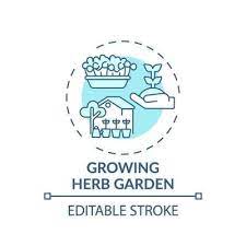 Growing Herb Garden Concept Icon